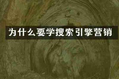 为什么要学搜索引擎营销