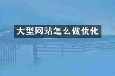 大型网站怎么做优化
