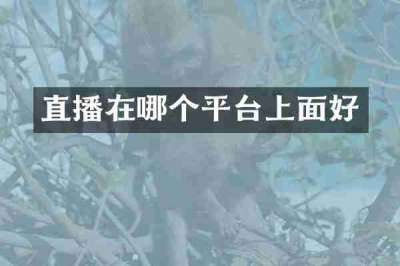 直播在哪个平台上面好