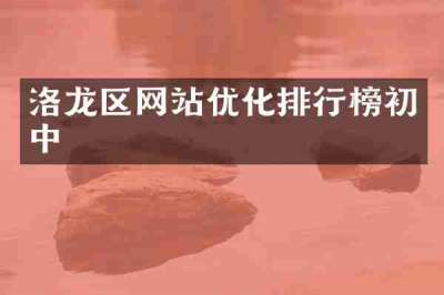 洛龙区网站优化排行榜初中