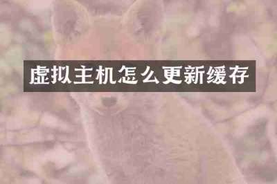 虚拟主机怎么更新缓存