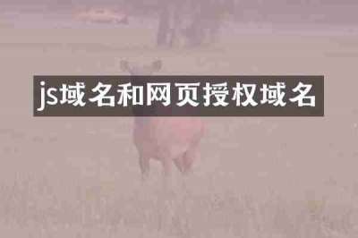 js域名和网页授权域名