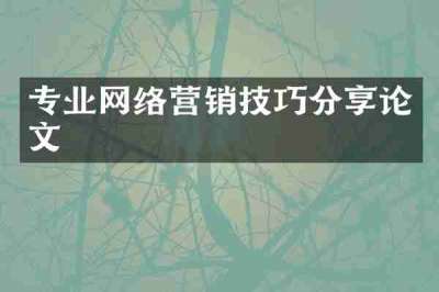 专业网络营销技巧分享论文