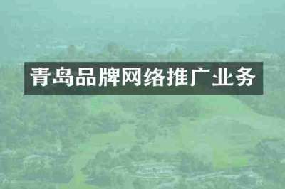 青岛品牌网络推广业务