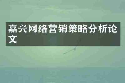 嘉兴网络营销策略分析论文