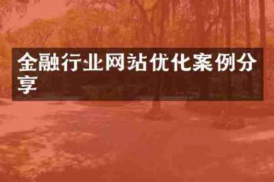 金融行业网站优化案例分享