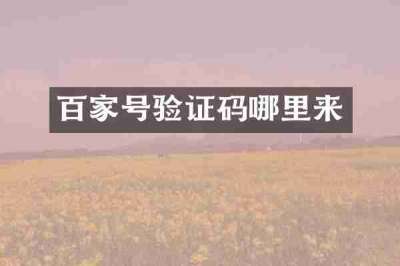 百家号验证码哪里来