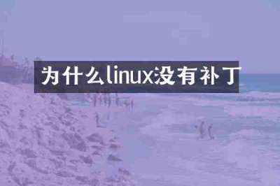 为什么linux没有补丁