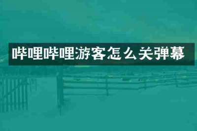 哔哩哔哩游客怎么关弹幕