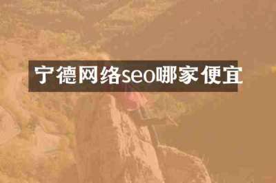 宁德网络seo哪家便宜