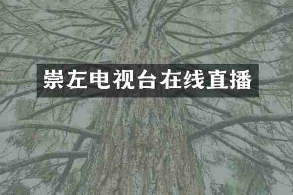 崇左电视台在线直播