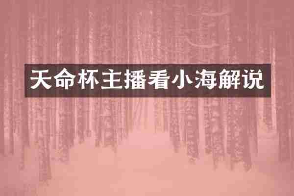 天命杯主播看小海解说