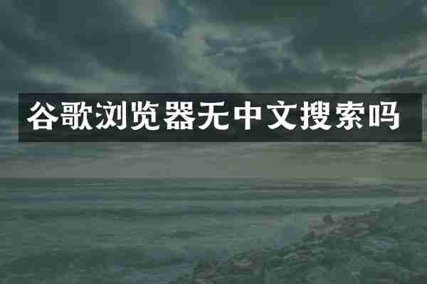 谷歌浏览器无中文搜索吗