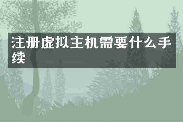 注册虚拟主机需要什么手续