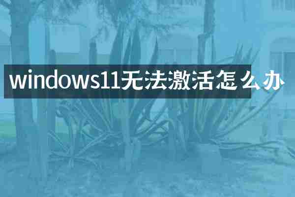 windows11无法激活怎么办