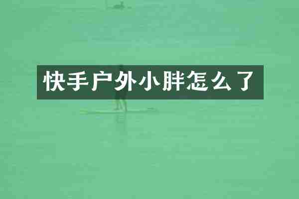 快手户外小胖怎么了