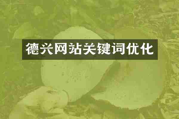 德兴网站关键词优化
