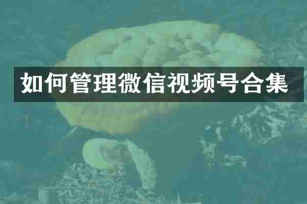 如何管理微信视频号