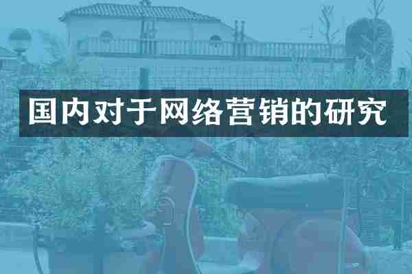 国内对于网络营销的研究