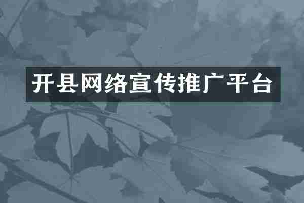开县网络宣传推广平台