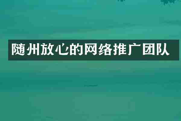随州放心的网络推广团队