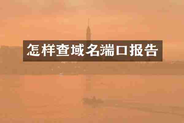 怎样查域名端口报告