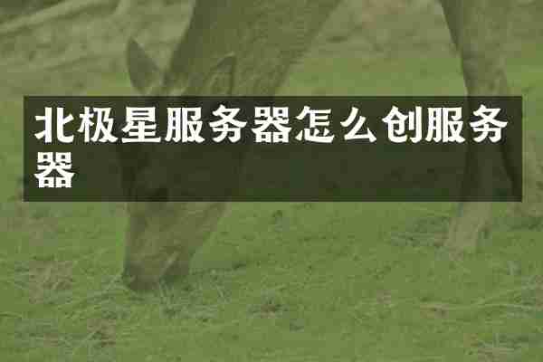 北极星服务器怎么创服务器