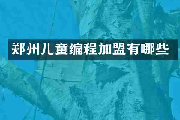 郑州儿童编程加盟有哪些