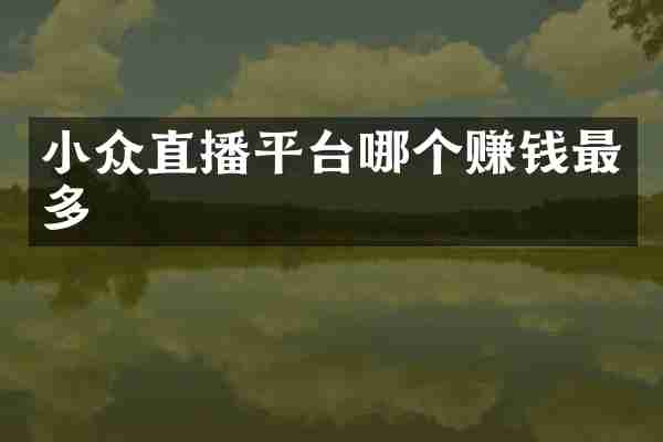 小众直播平台哪个赚钱最多