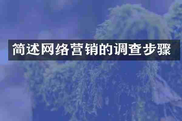 简述网络营销的调查步骤