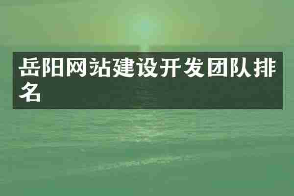 岳阳网站建设开发团队排名