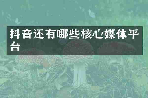抖音还有哪些核心媒体平台