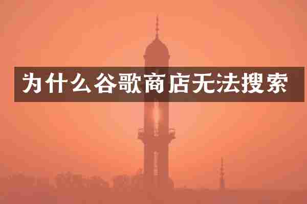 为什么谷歌商店无法搜索