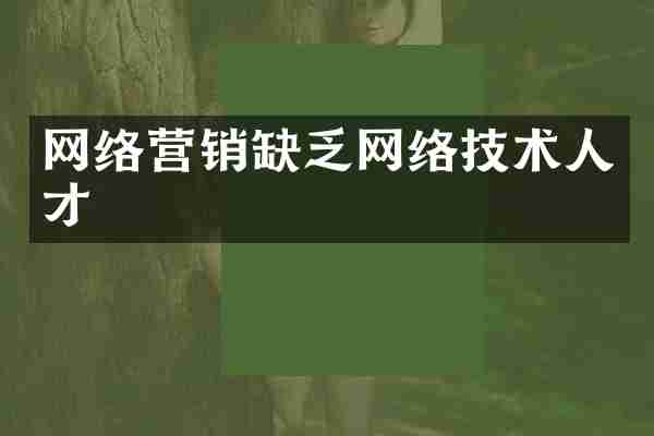 网络营销缺乏网络技术人才