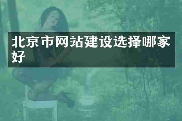 北京市网站建设选择哪家好