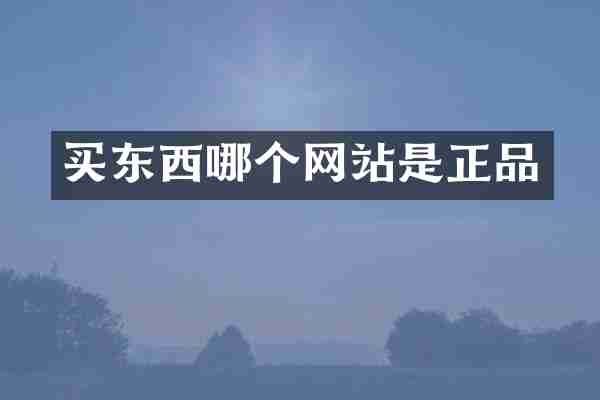 买东西哪个网站是正品