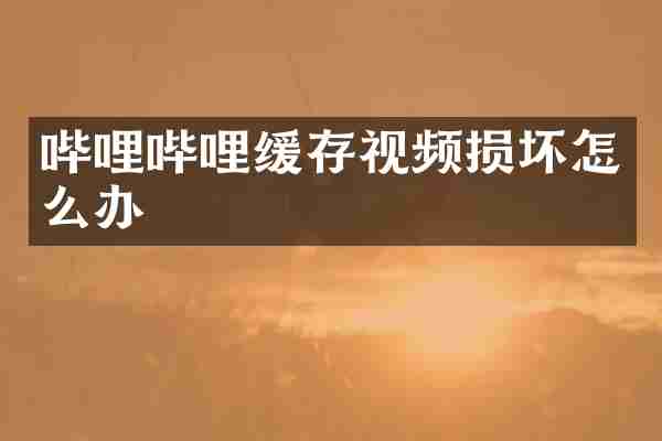 哔哩哔哩缓存视频损坏怎么办