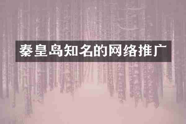 秦皇岛知名的网络推广