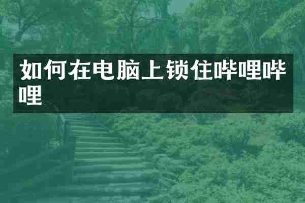 如何在电脑上锁住哔哩哔哩