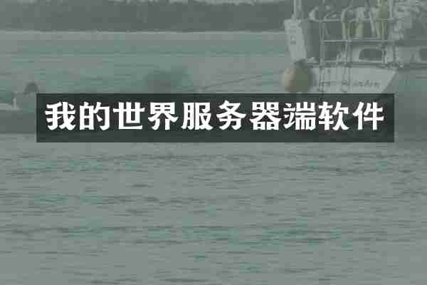 我的世界服务器端软件