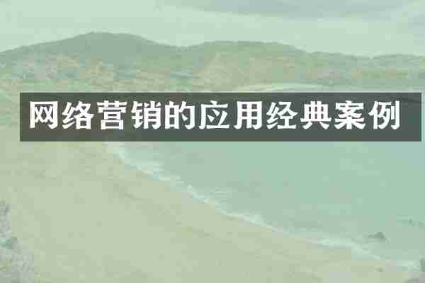 网络营销的应用经典案例