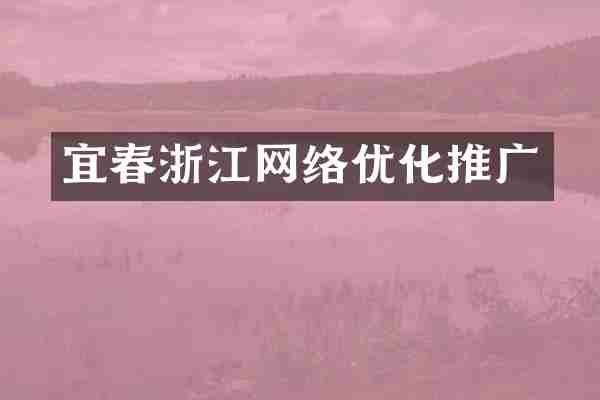 宜春浙江网络优化推广
