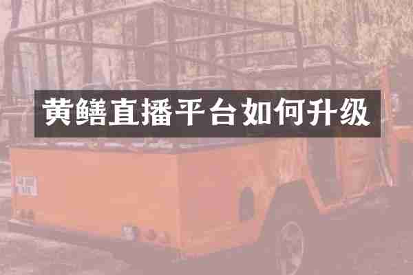 黄鳝直播平台如何升级