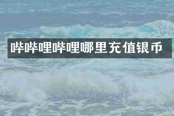 哔哔哩哔哩哪里充值银币
