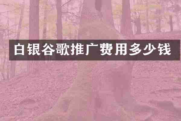 白银谷歌推广费用多少钱