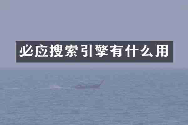 必应搜索引擎有什么用