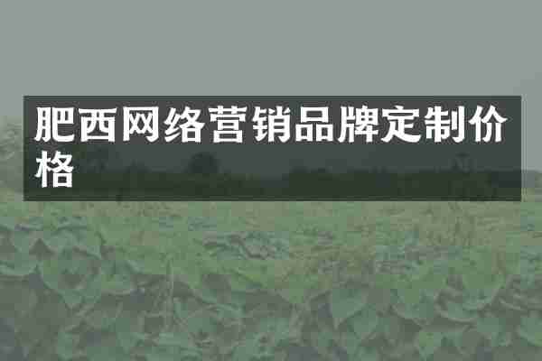 肥西网络营销品牌定制价格