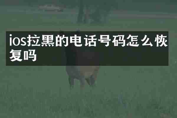 ios拉黑的电话号码怎么恢复吗