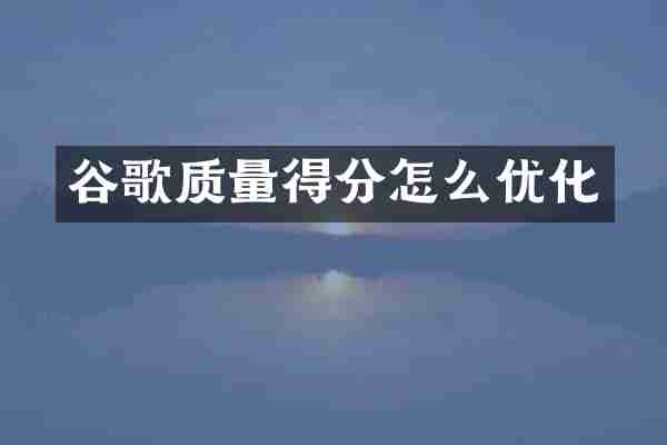 谷歌质量得分怎么优化