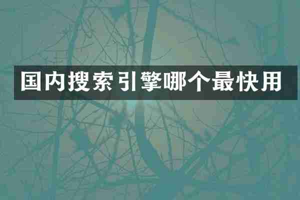 国内搜索引擎哪个最快用